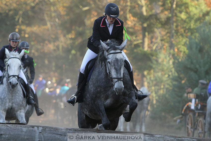 Hubertova jízda