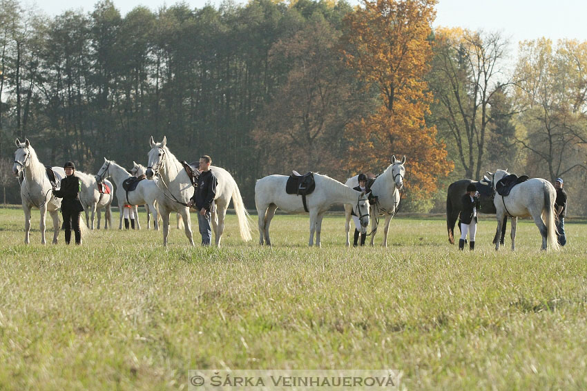 Hubertova jízda