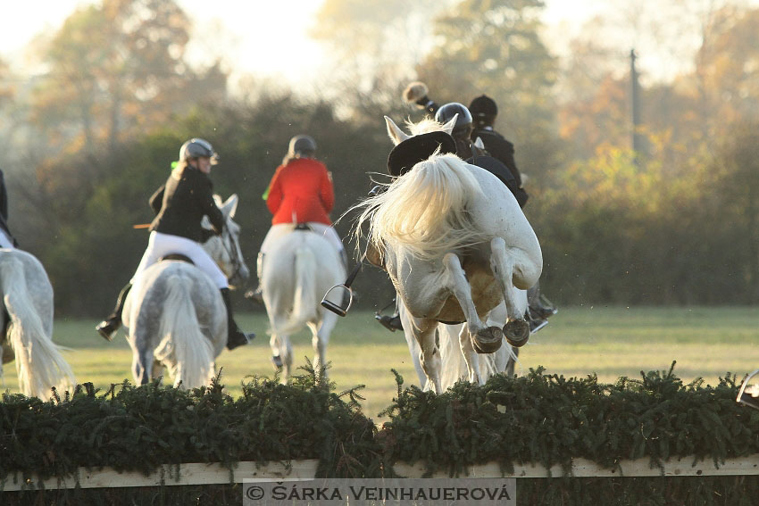 Hubertova jízda