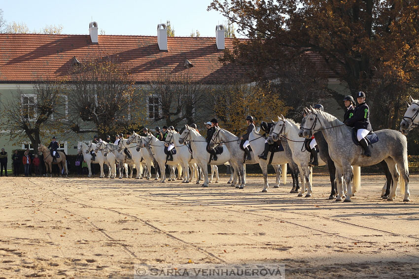 Hubertova jízda