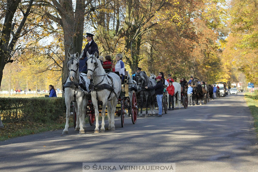 Hubertova jízda