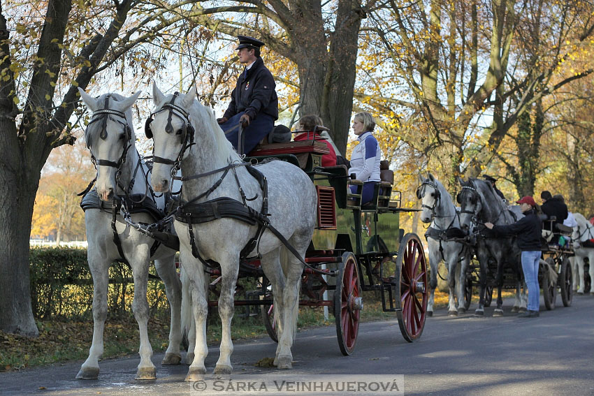 Hubertova jízda