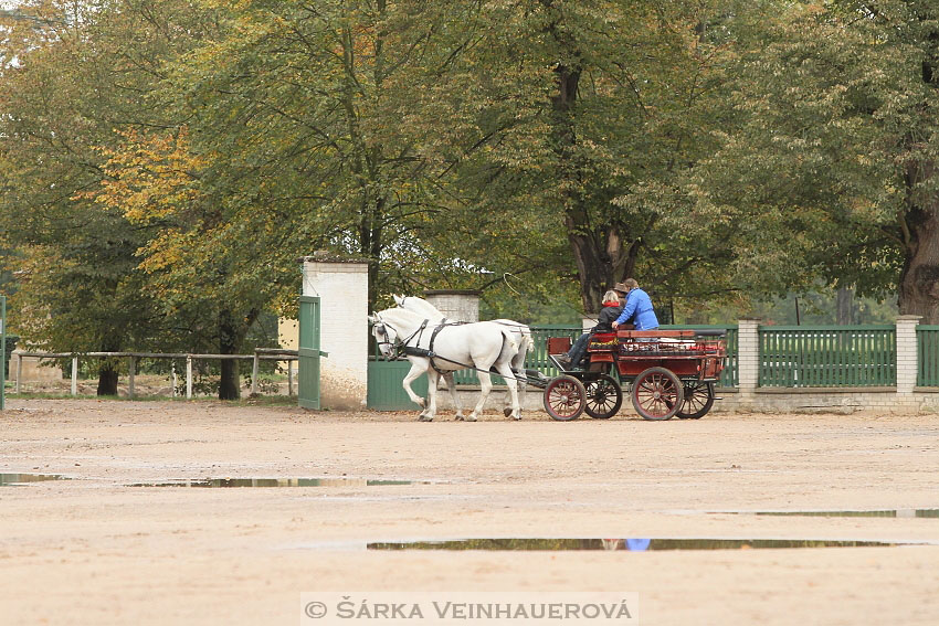 Hubertova jízda