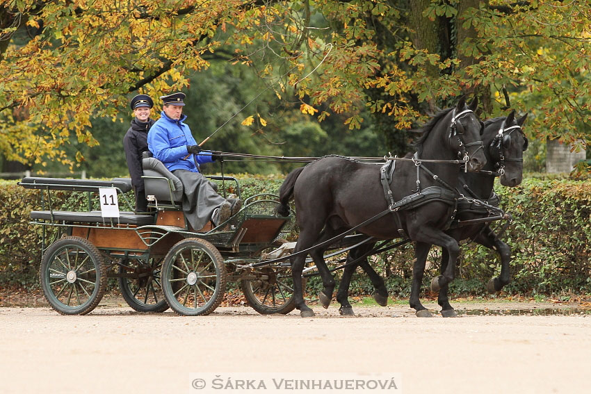 Hubertova jízda