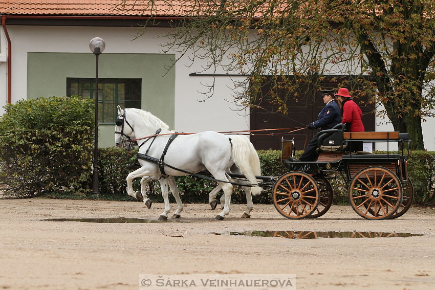 Hubertova jízda