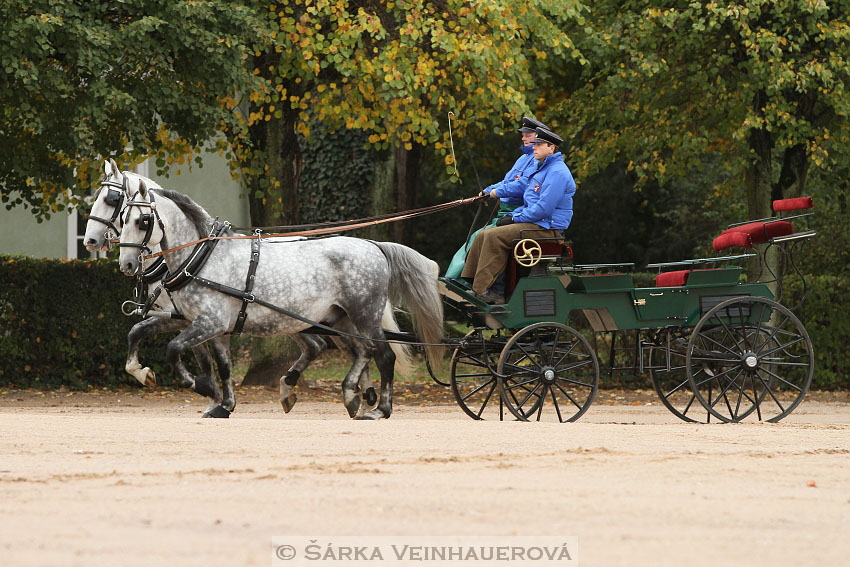 Hubertova jízda