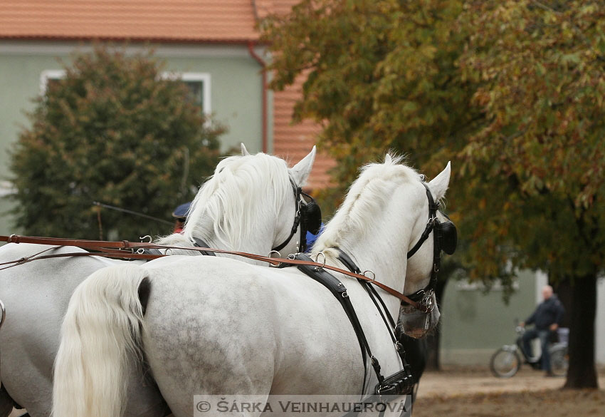 Hubertova jízda