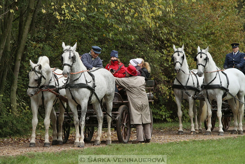 Hubertova jízda