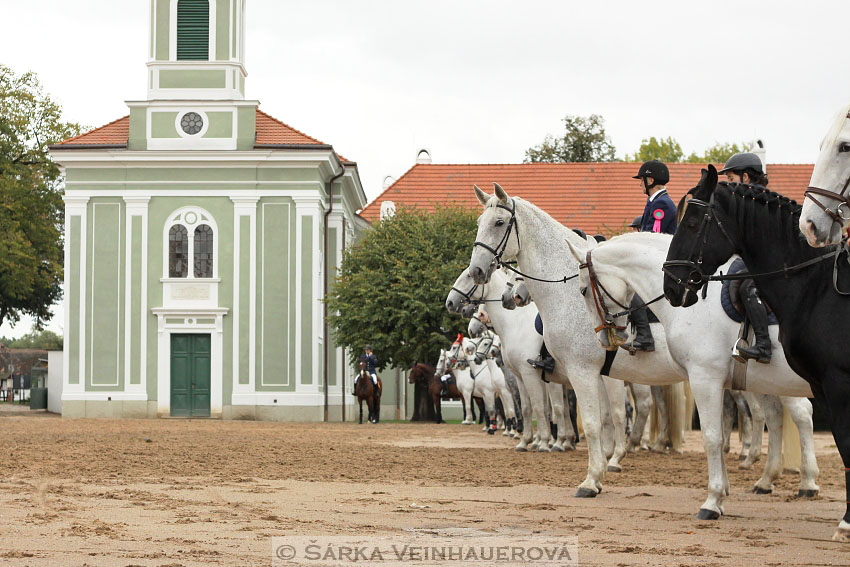 Hubertova jízda