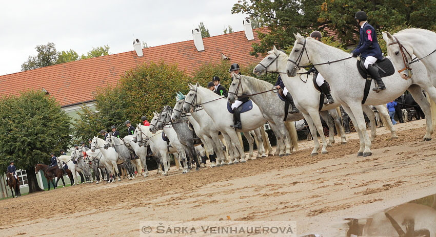 Hubertova jízda