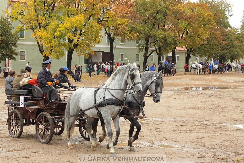 Hubertova jízda
