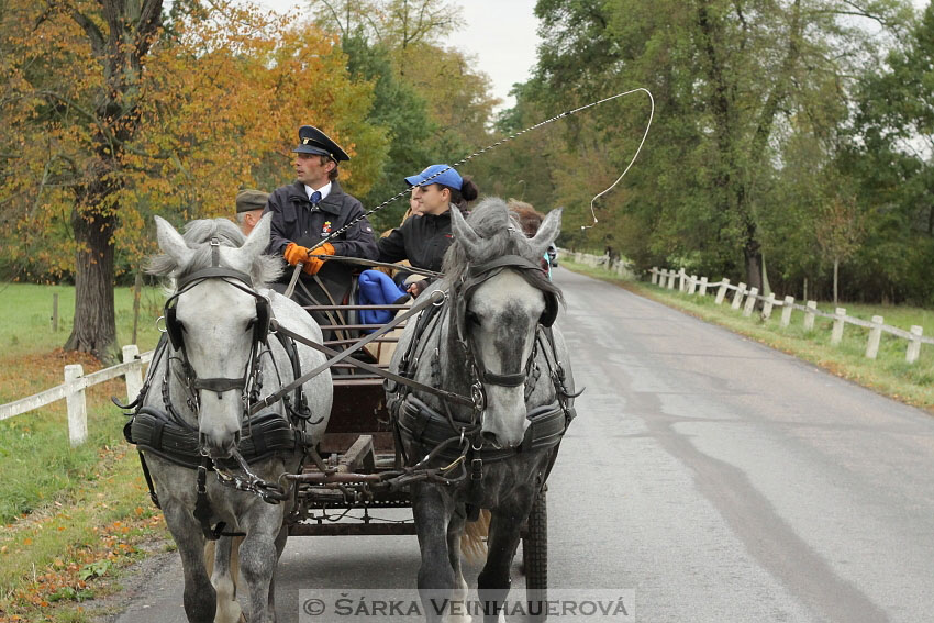 Hubertova jízda