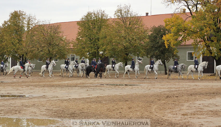 Hubertova jízda