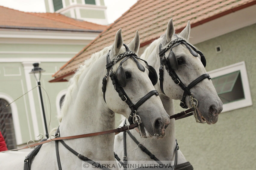 Hubertova jízda