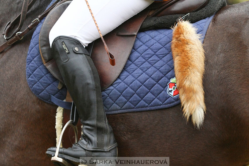 Hubertova jízda