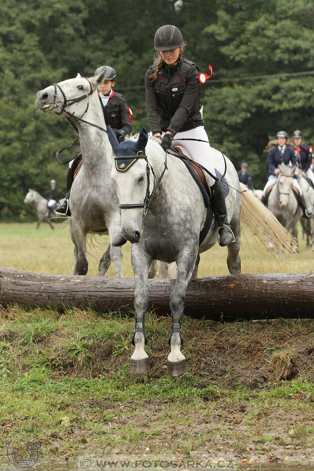 Hubertova jízda I. 