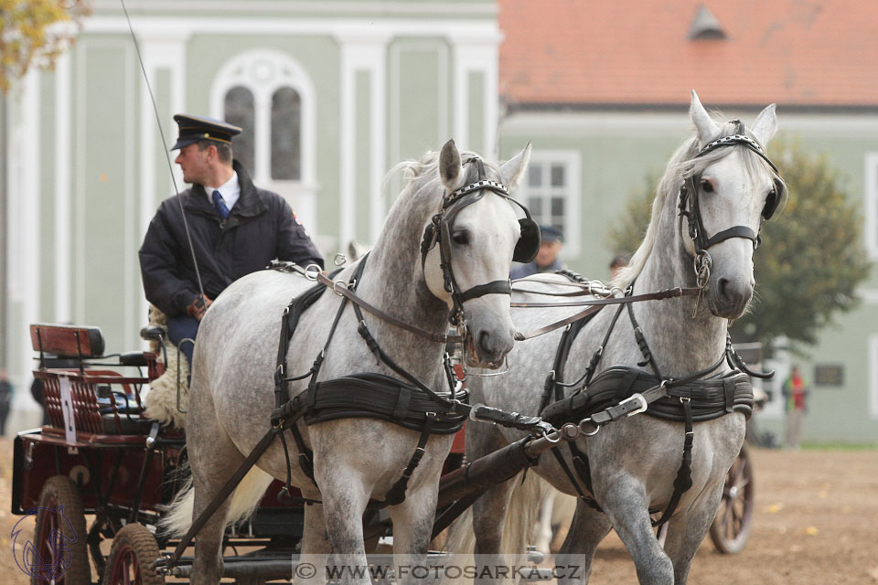 Hubertova jízda II. 