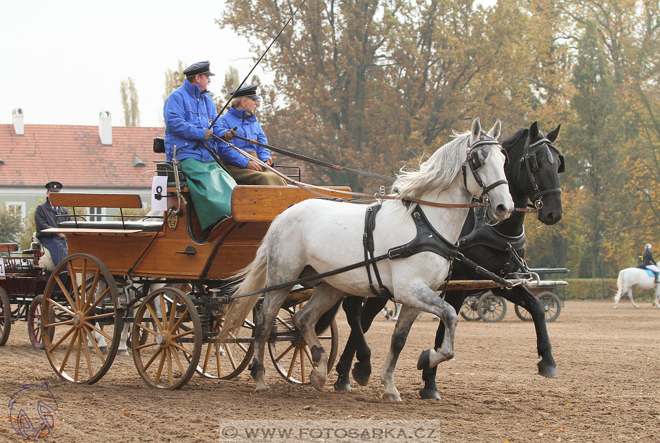 Hubertova jízda II. 