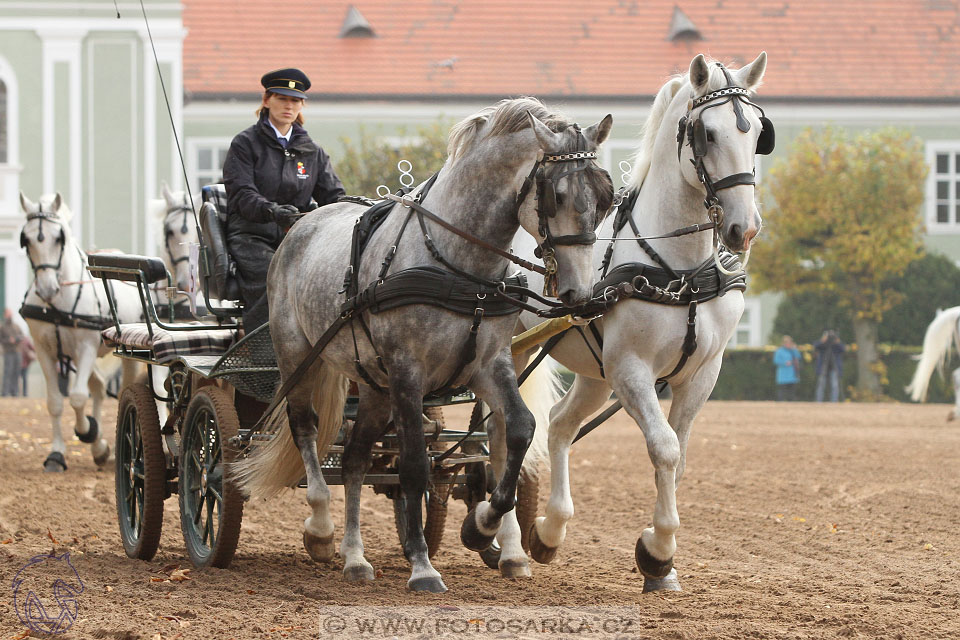 Hubertova jízda II. 