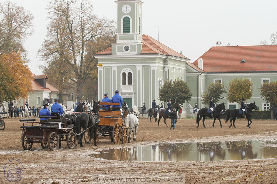 Hubertova jízda II. 