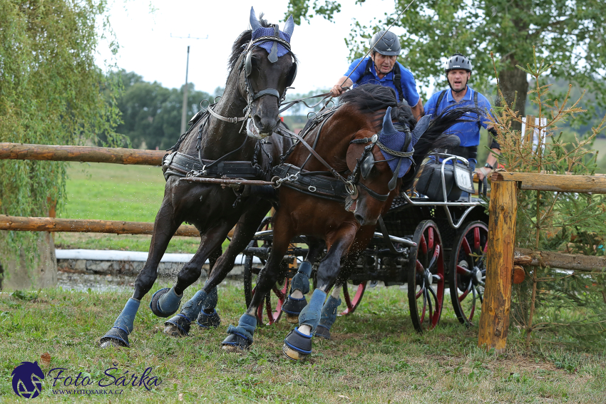 Humpolec 2018 - Finále ZP spřežení