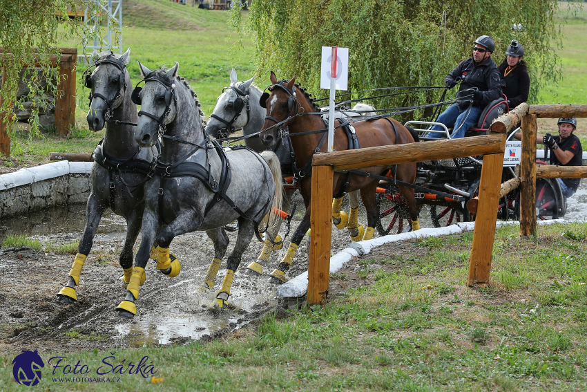 Humpolec 2018 - Finále ZP spřežení