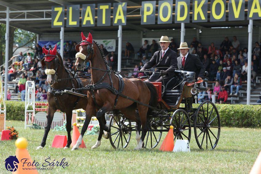 Humpolec 2018 - Finále ZP spřežení