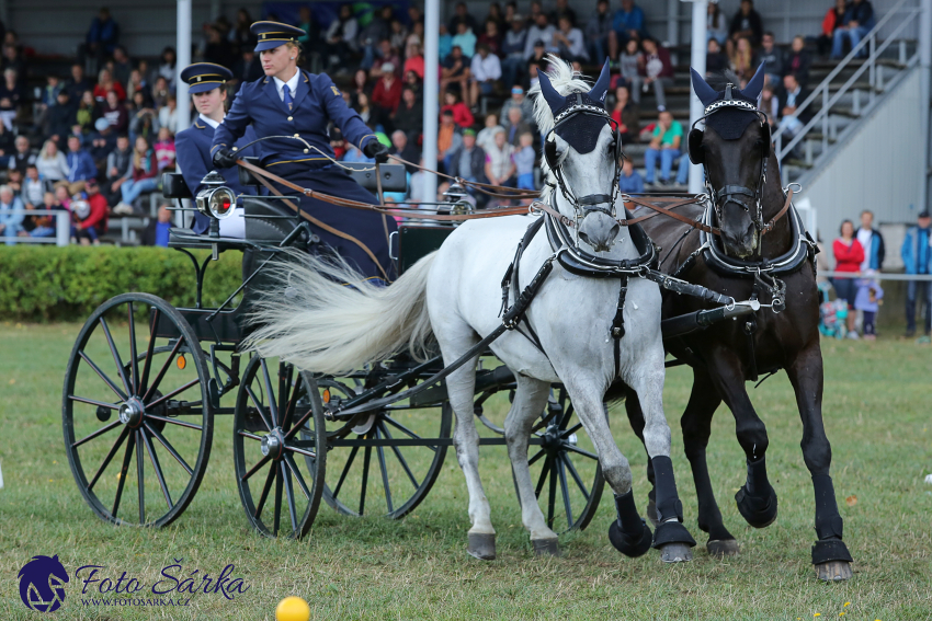 Humpolec 2018 - Finále ZP spřežení