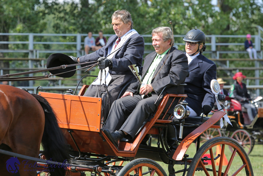 Humpolec 2018 - Finále ZP spřežení