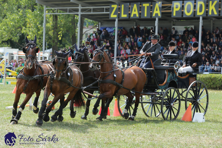 Humpolec 2018 - Finále ZP spřežení