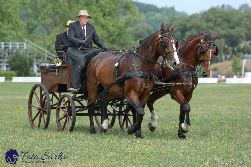 Humpolec 2018 - Finále ZP spřežení