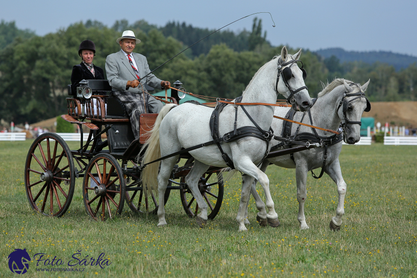 Humpolec 2018 - Finále ZP spřežení