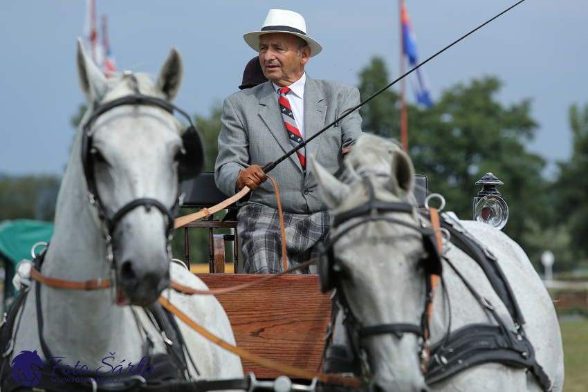 Humpolec 2018 - Finále ZP spřežení