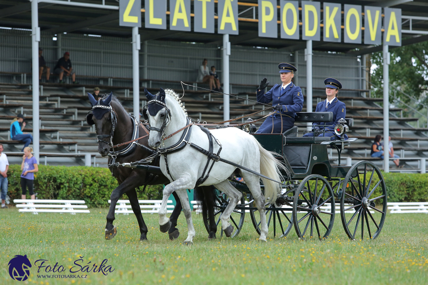 Humpolec 2018 - Finále ZP spřežení