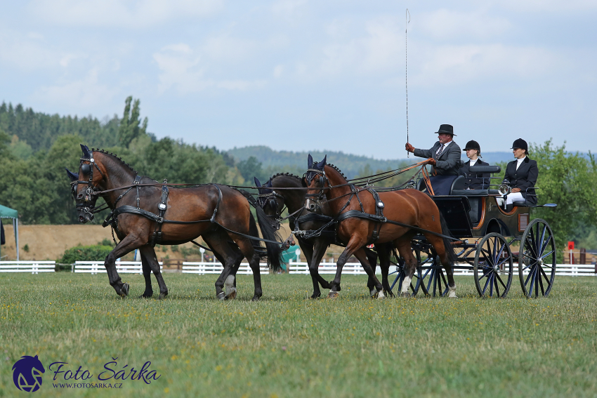 Humpolec 2018 - Finále ZP spřežení