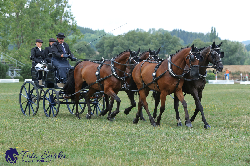 Humpolec 2018 - Finále ZP spřežení