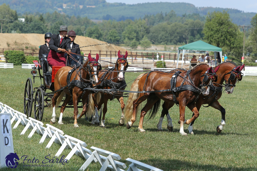 Humpolec 2018 - Finále ZP spřežení