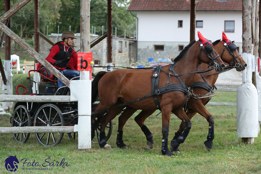 Humpolec 2018 - Finále ZP spřežení