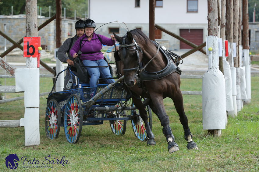 Humpolec 2018 - Finále ZP spřežení