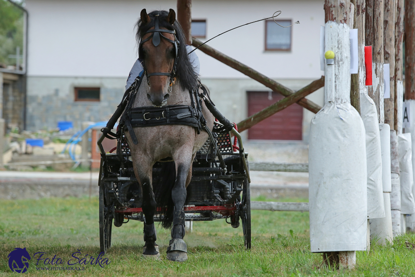 Humpolec 2018 - Finále ZP spřežení