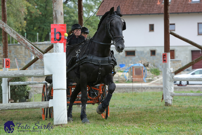 Humpolec 2018 - Finále ZP spřežení