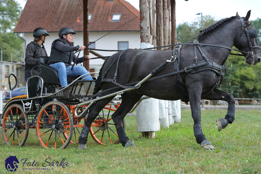 Humpolec 2018 - Finále ZP spřežení