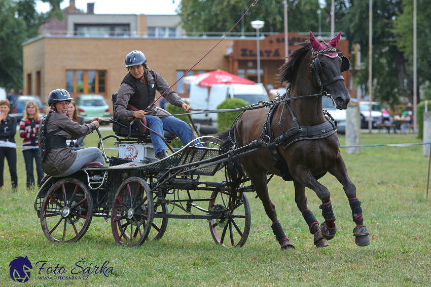 Humpolec 2018 - Finále ZP spřežení