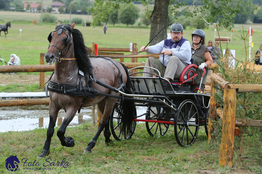 Humpolec 2018 - Finále ZP spřežení