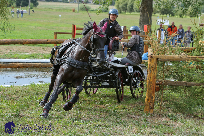Humpolec 2018 - Finále ZP spřežení