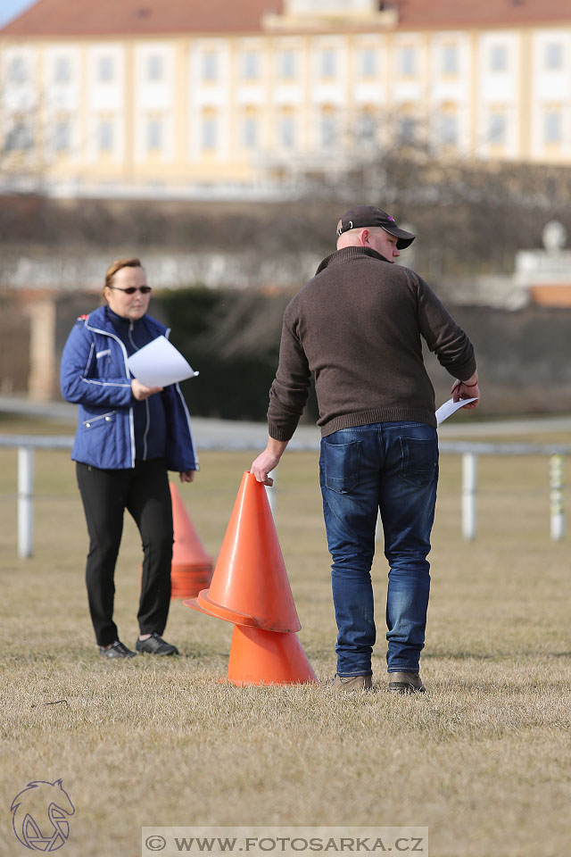 International Equestrian Congress - Horse in Sport 2017