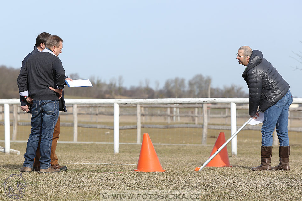 International Equestrian Congress - Horse in Sport 2017