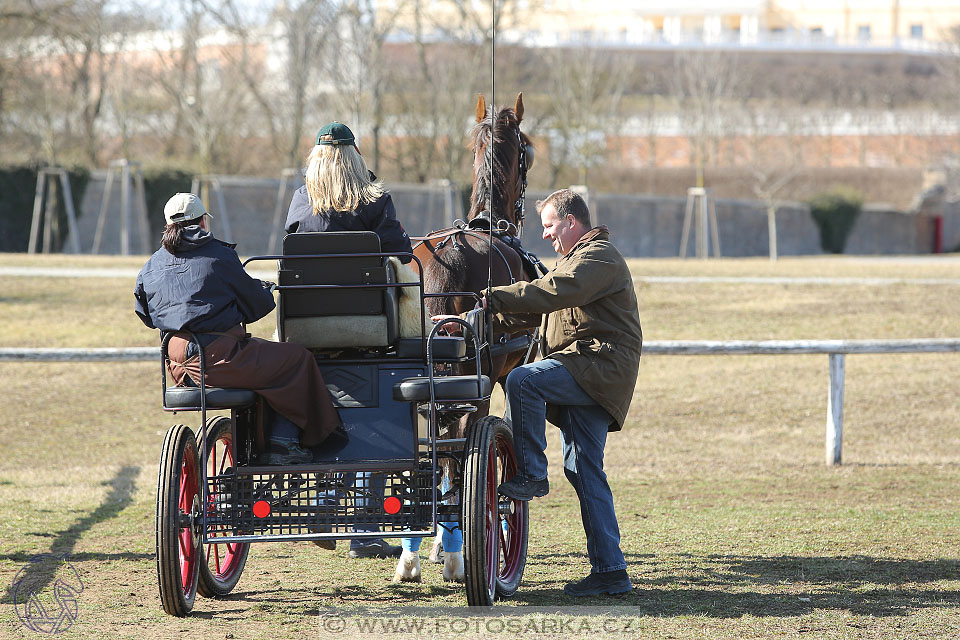 International Equestrian Congress - Horse in Sport 2017