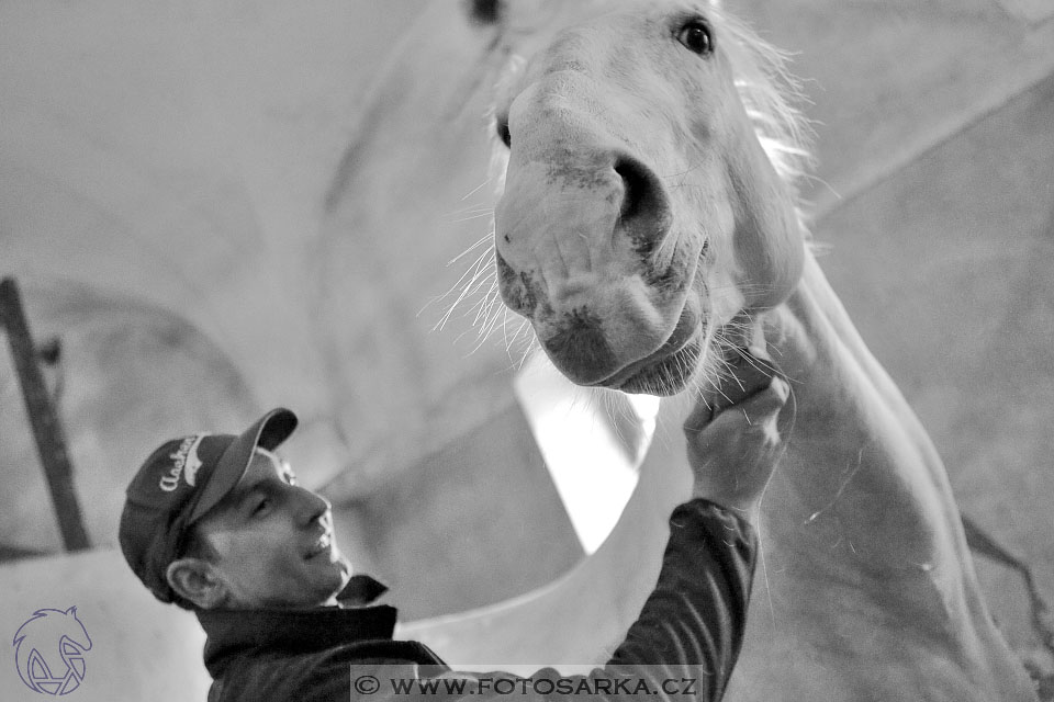 International Equestrian Congress - Horse in Sport 2017