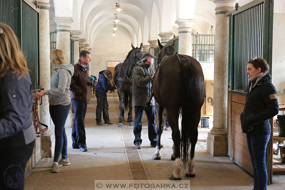 International Equestrian Congress - Horse in Sport 2017